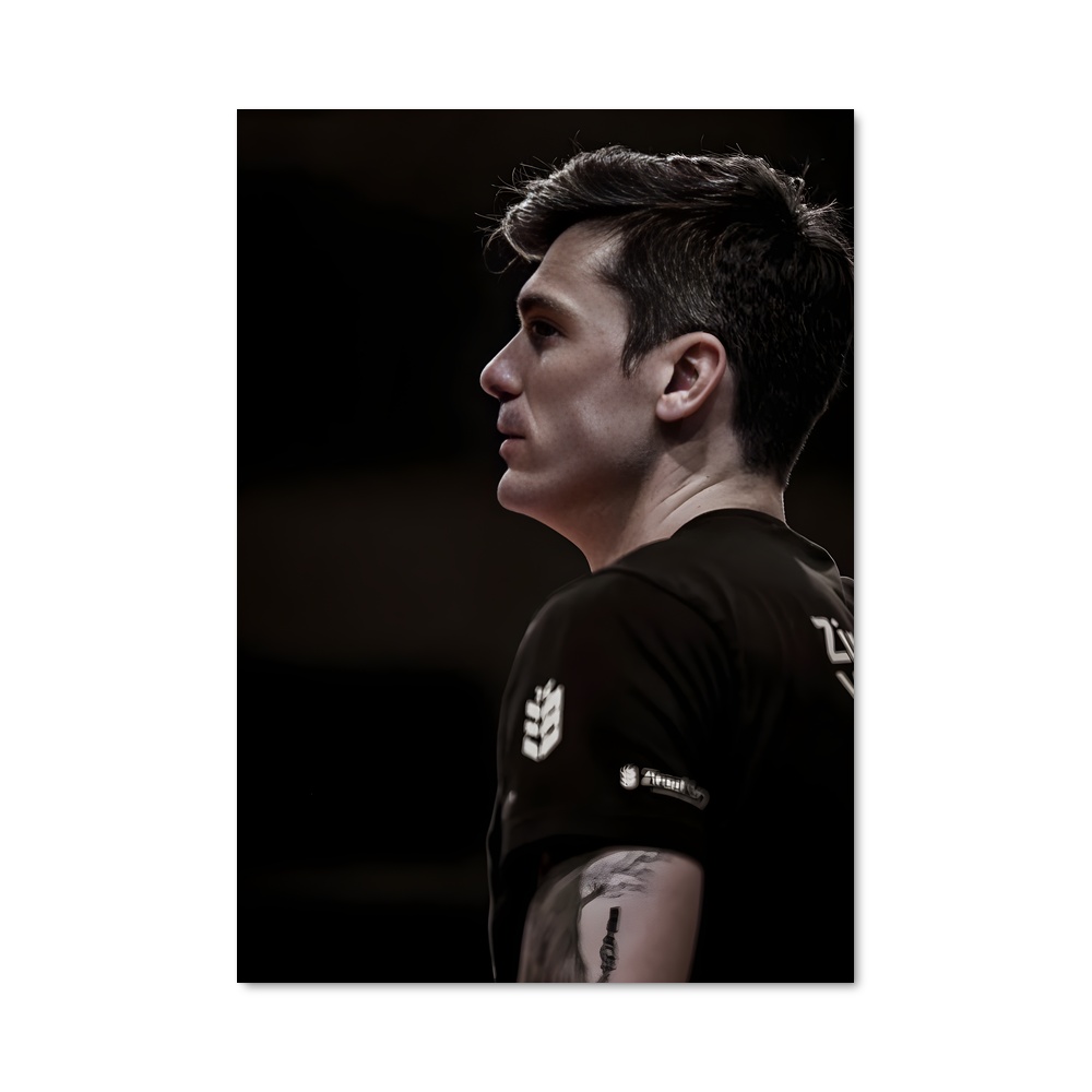 Poster Matt anderson – affiche Volleyball